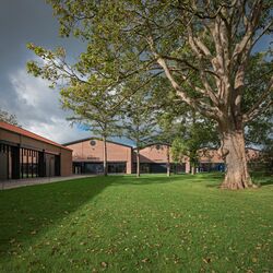 Wiese mit Museumshallen im Hintergrund